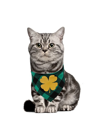Modlily Plaid and Shamrock Print Patrick Day Green Pet Bandana - One Size