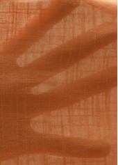 Terracotta Embroidery Half Sleeve V Neck Blouse | thumb picture 