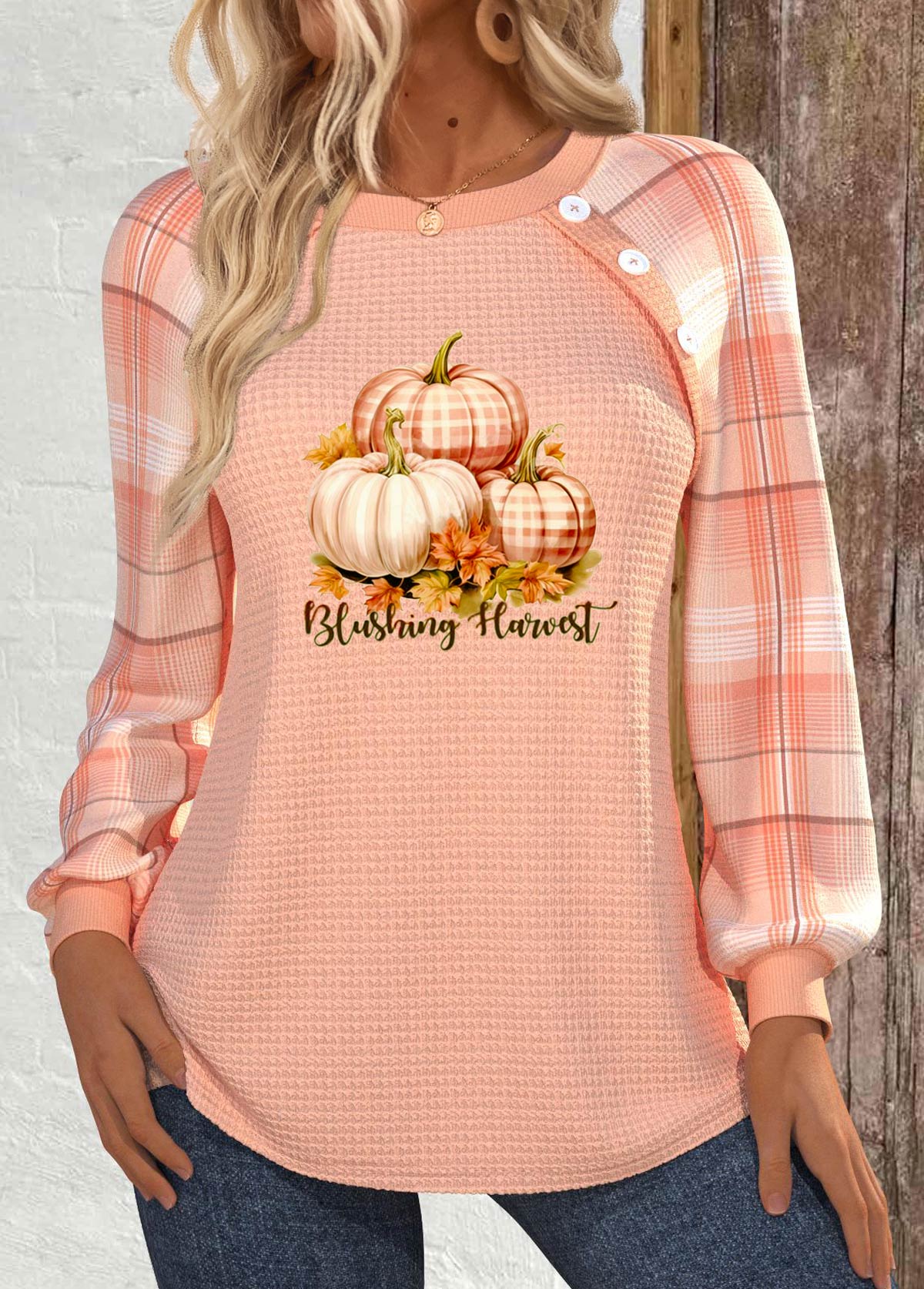 Halloween Dusty Pink Patchwork Plus Size Long Sleeve Sweatshirt | picture 