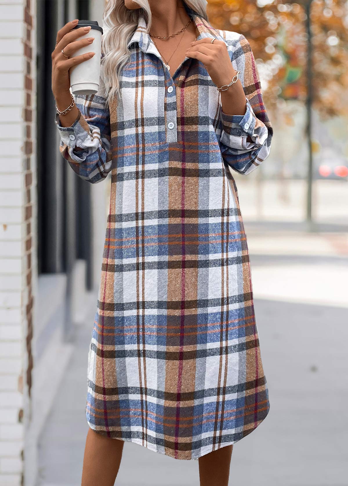 Plus Size Multi Color Tummy Coverage Plaid Dress | picture 