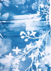 Bowknot Floral Print Dusty Blue One Piece Swimwear | thumb picture 