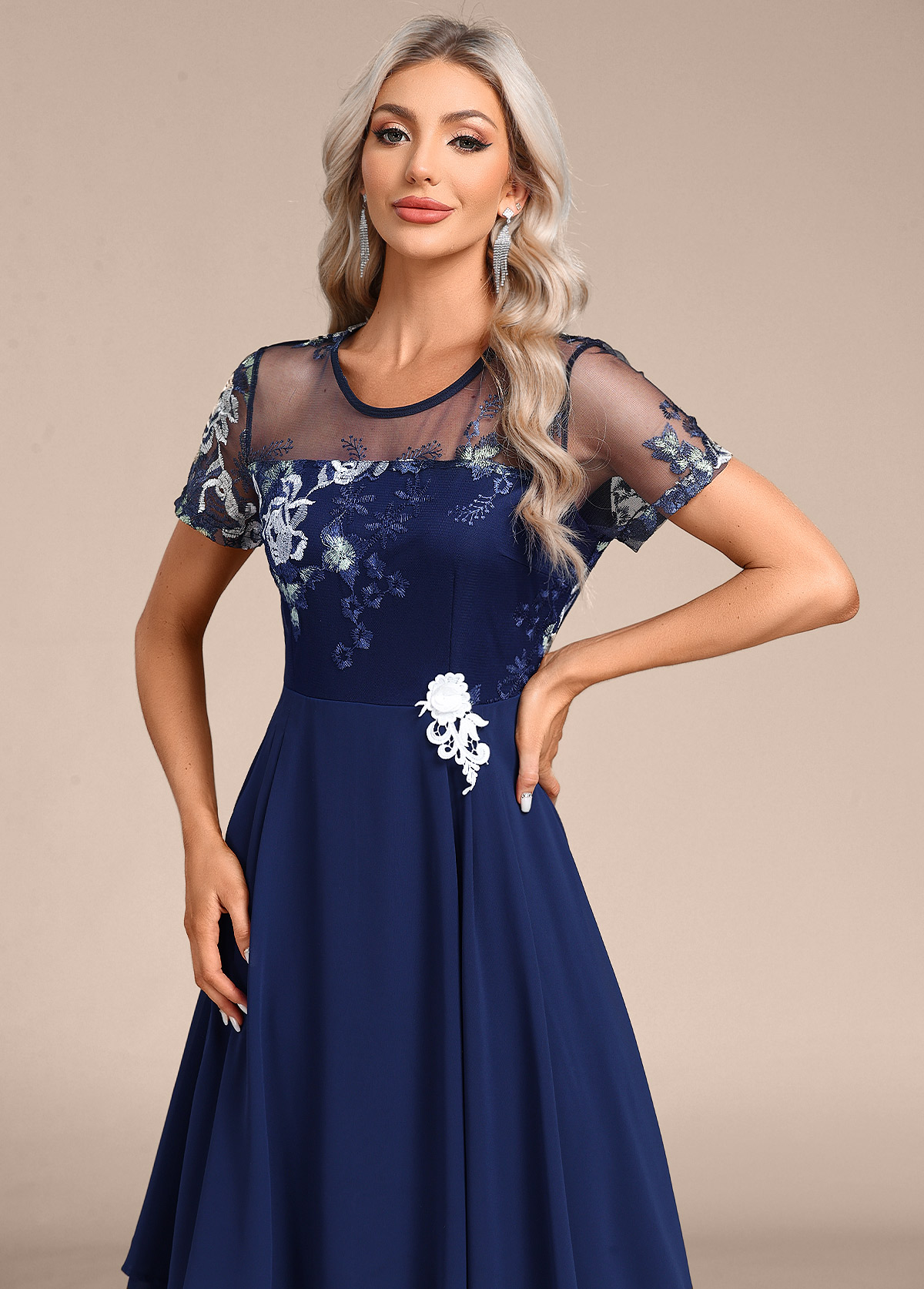 Navy Embroidery Short Sleeve Round Neck Dress | picture 