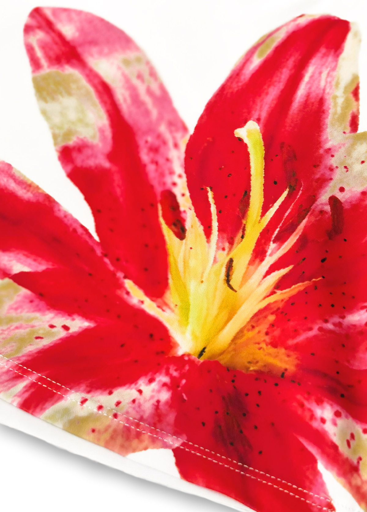 Mid Waisted Floral Print Red Tankini Set | picture 