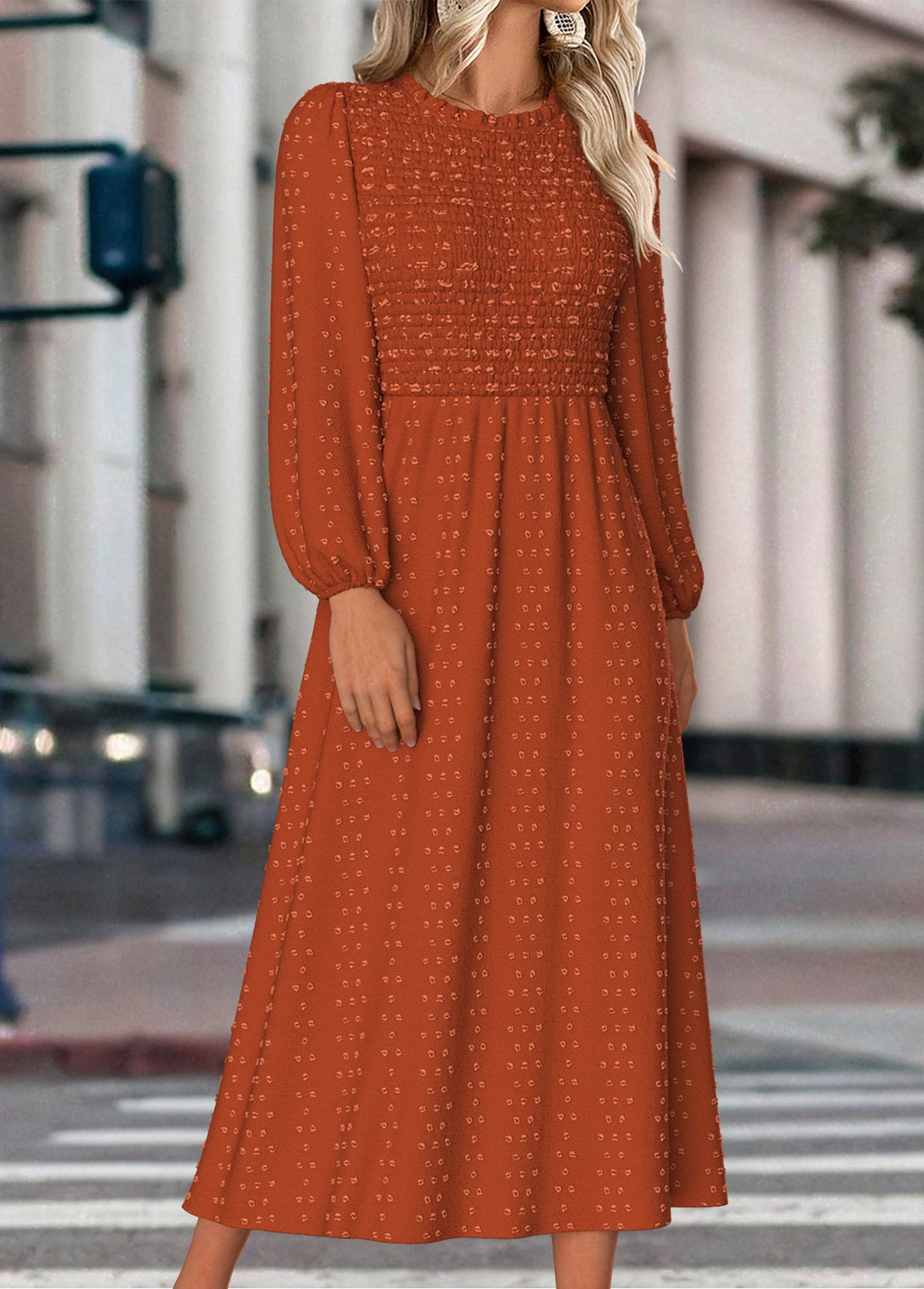 Terracotta Tummy Coverage Long Sleeve Round Neck Dress | picture 