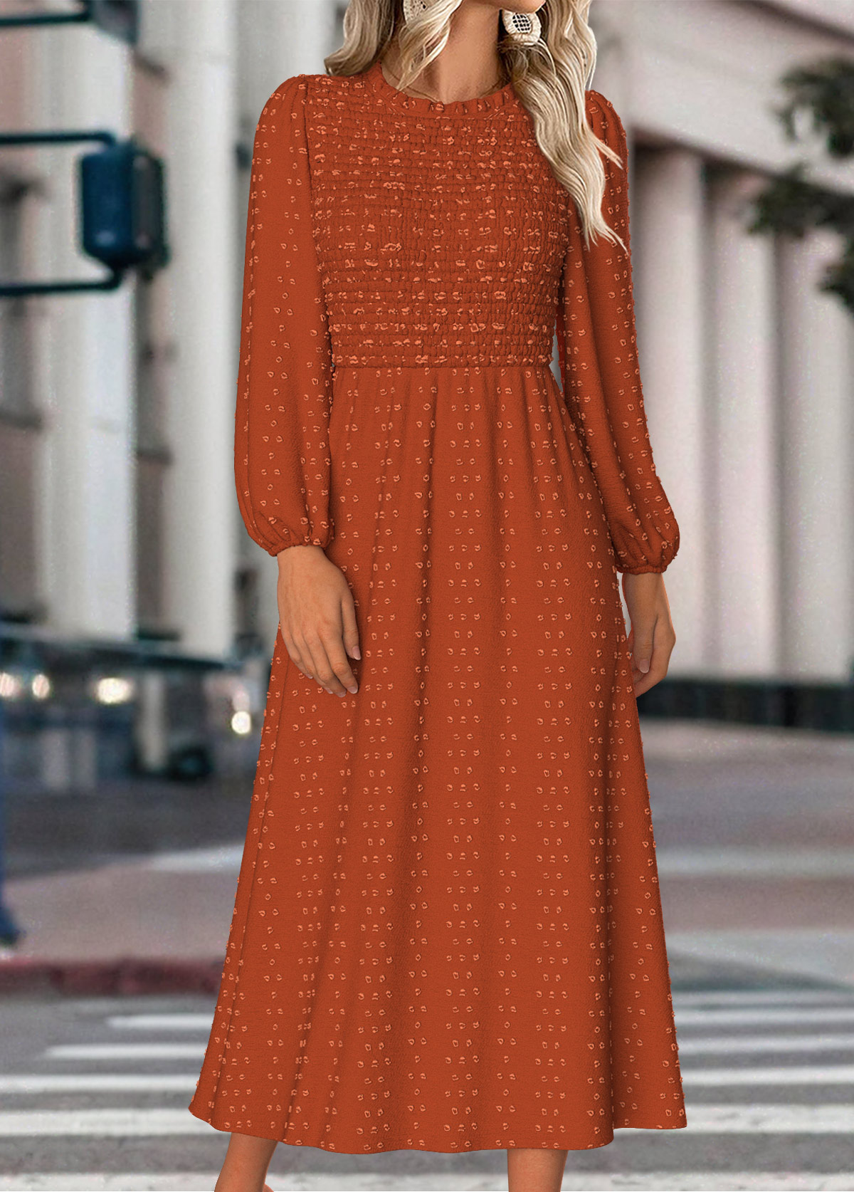 Terracotta Tummy Coverage Long Sleeve Round Neck Dress | picture 