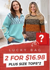 Lucky Bag-Random Color Plus Size Tops-2 Pieces
