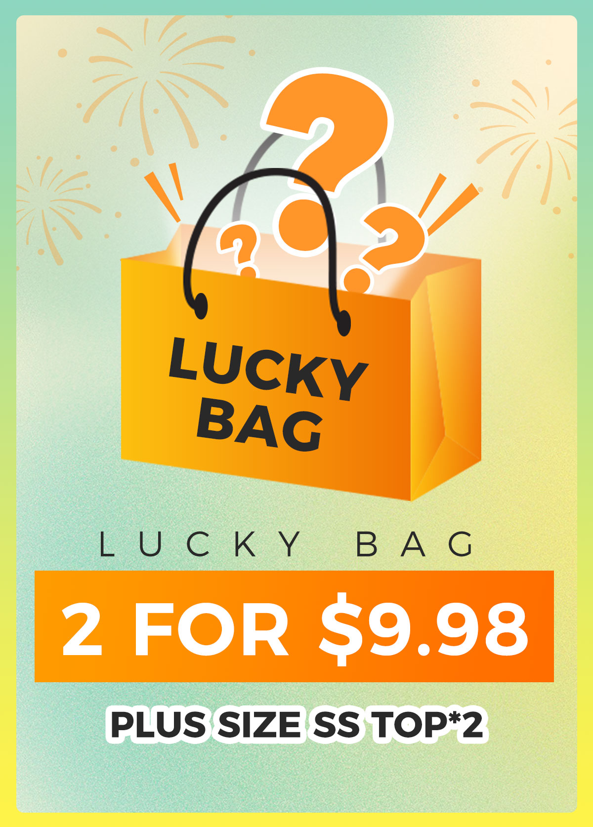 Lucky Bag-Random Color Plus Size Tops-2 Pieces | picture 