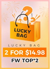 Lucky Bag-Random Color Tops- 2 Pieces