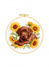 Gentle Gaze Labrador Embroidery Kit Beginner Friendly